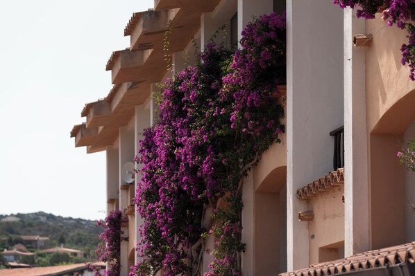 Un bâtiment doté de balcons ornés de fleurs violettes, de murs blancs et d’un toit recouvert de tuiles.