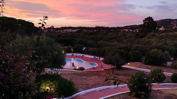 A pool area with lounge chairs and a pathway leading to a building. - Residence Pinnetta - 4-seater apartment with free pool and WiFi (Arzachena)