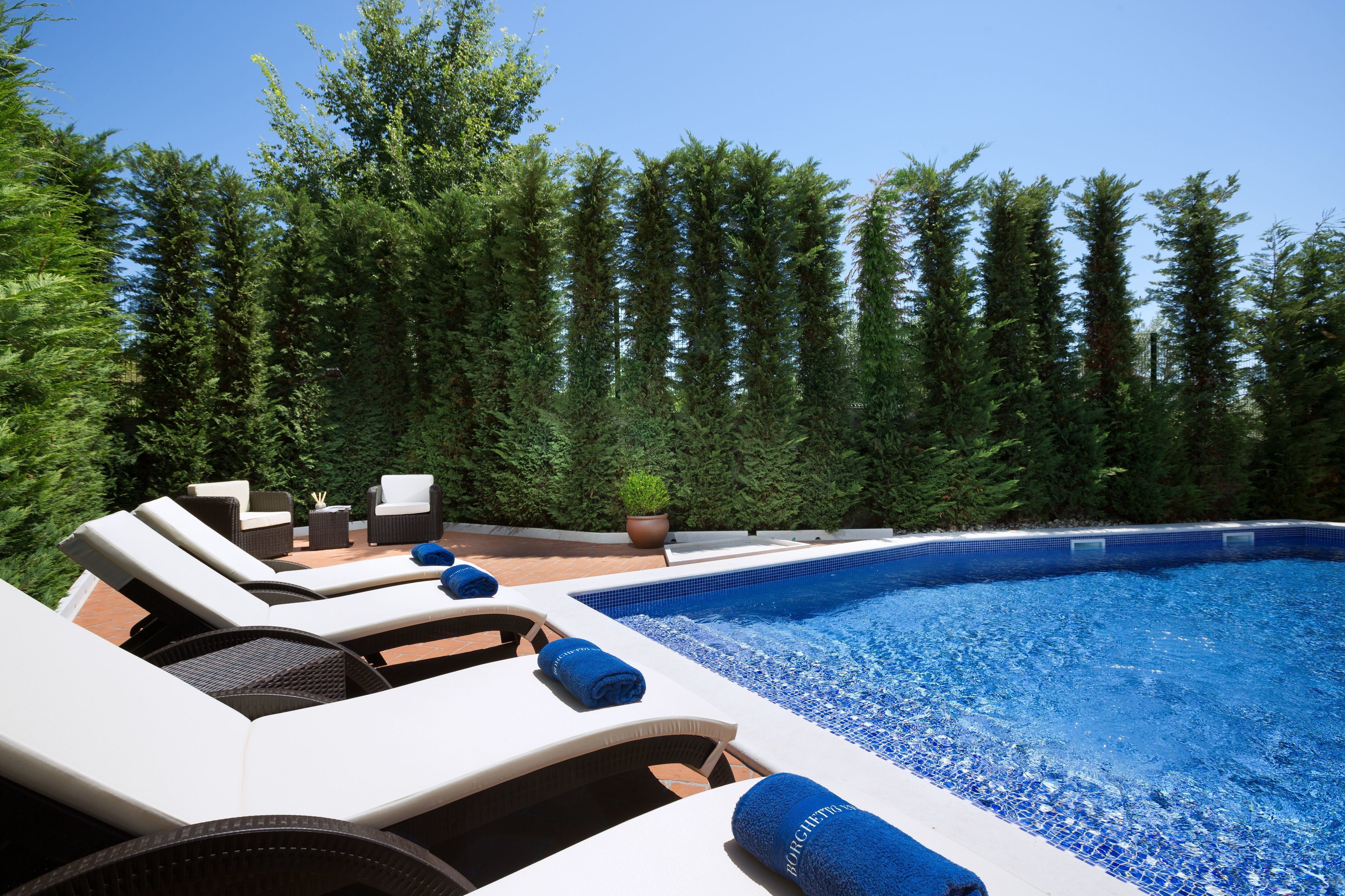 A swimming pool with lounge chairs and a potted plant.