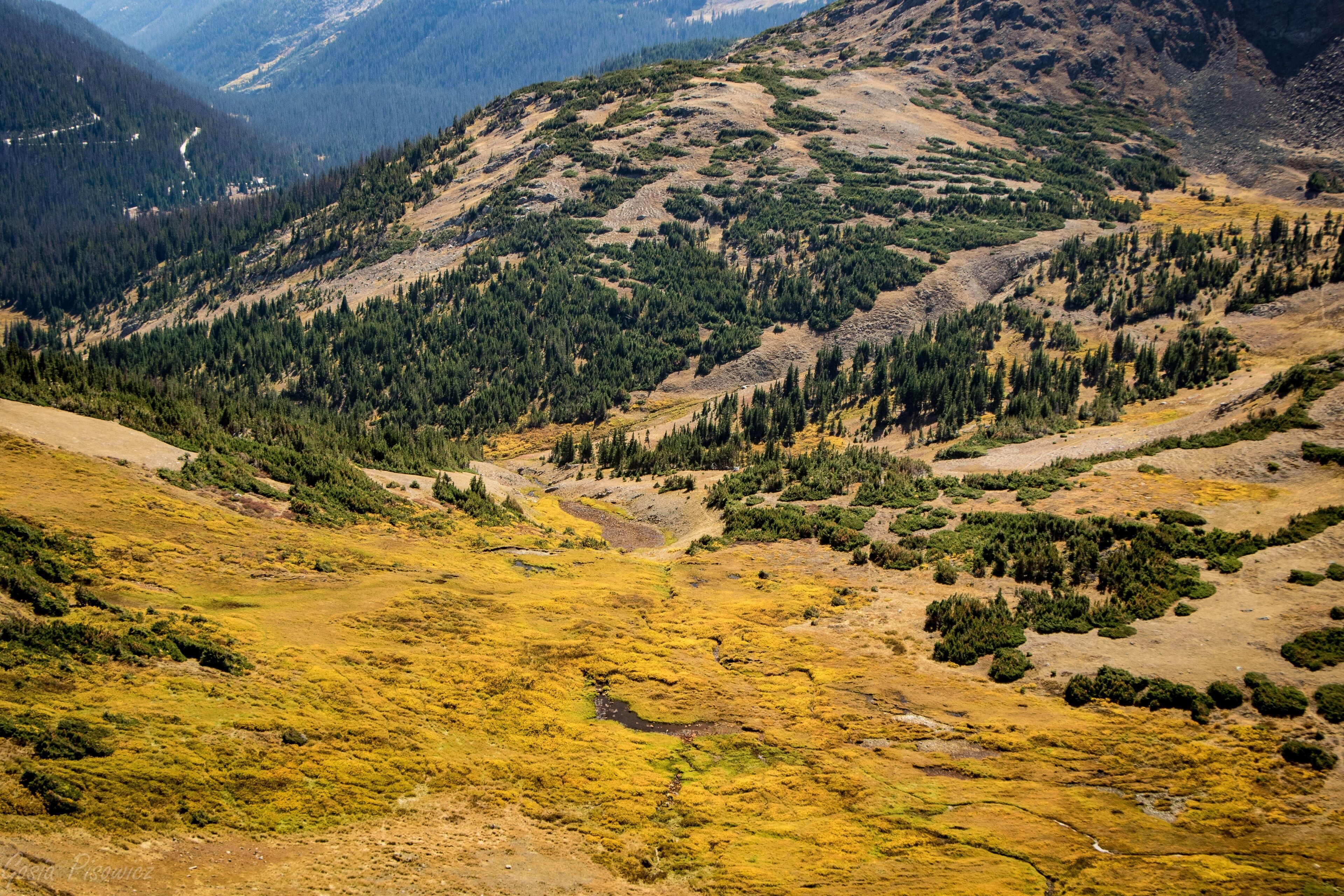 Un paysage montagneux, avec de vastes forêts et une vallée.