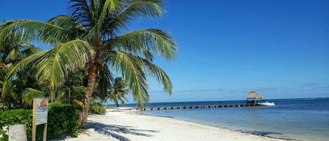 Condo, 3 Bedrooms | Beach | Beach nearby