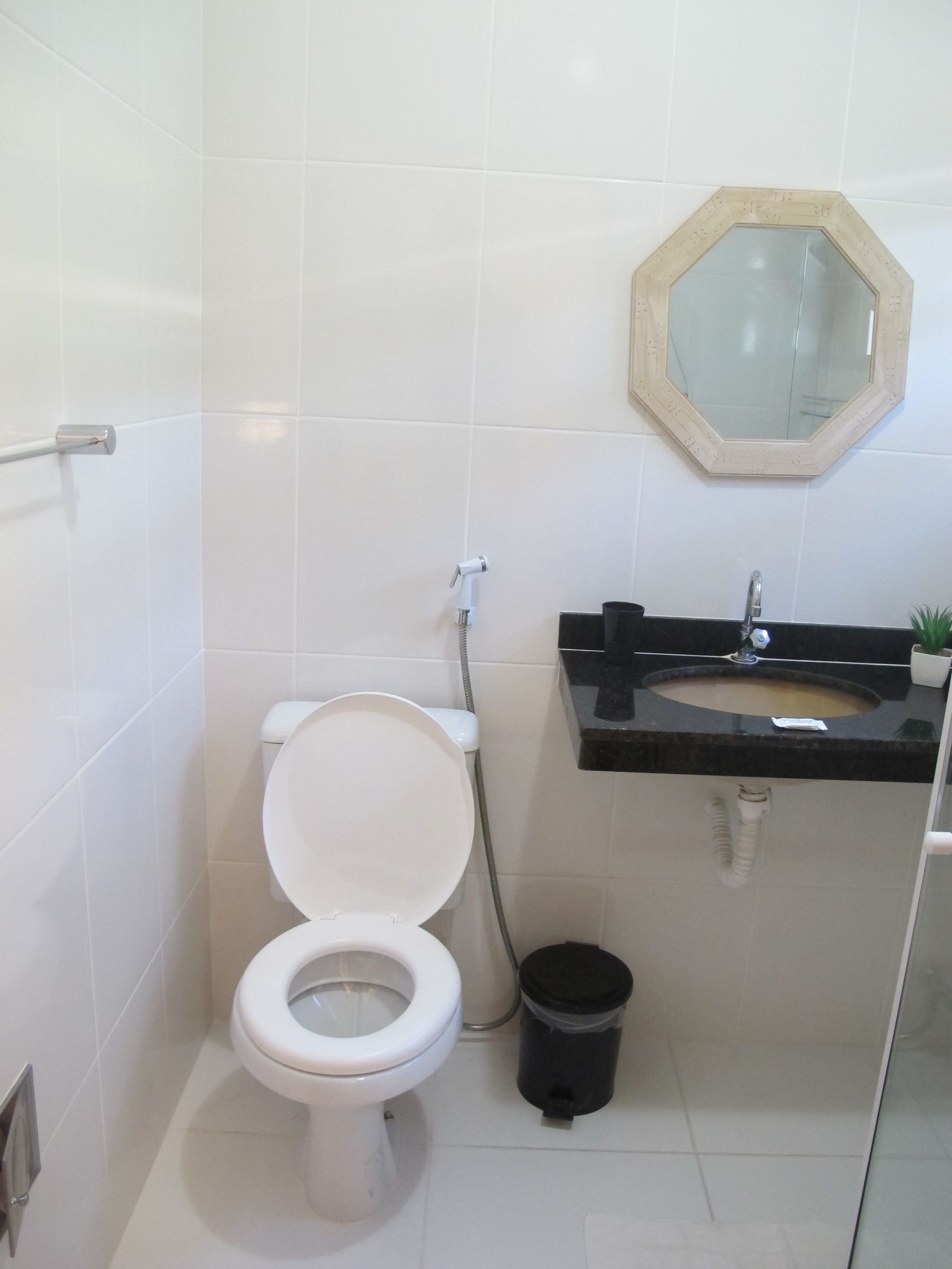 A bathroom with a white toilet, a black trash bin, a black sink with a mirror above it, and a small potted plant on the sink counter.
