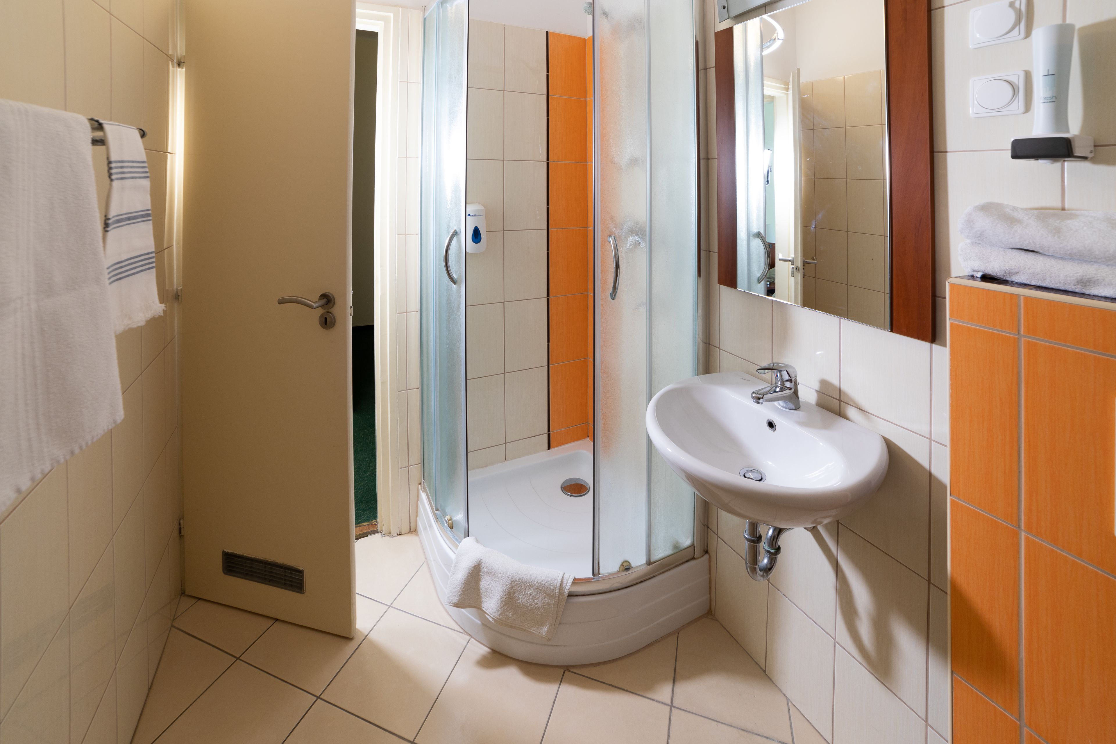 hair dryer, towels, soap, shampoo