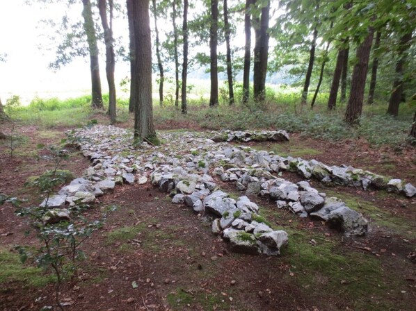 Property grounds - Fairytale vacations with Meinecard plus in the home of the Brothers Grimm (Fritzlar)