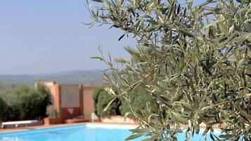 Seasonal outdoor pool, pool umbrellas, pool loungers