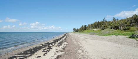 Beach nearby, fishing