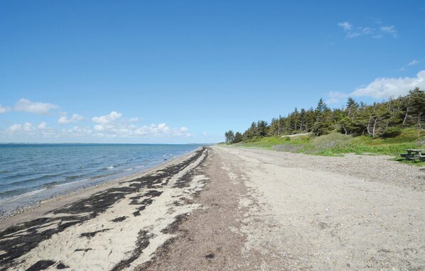 Tæt på stranden, fiskeri