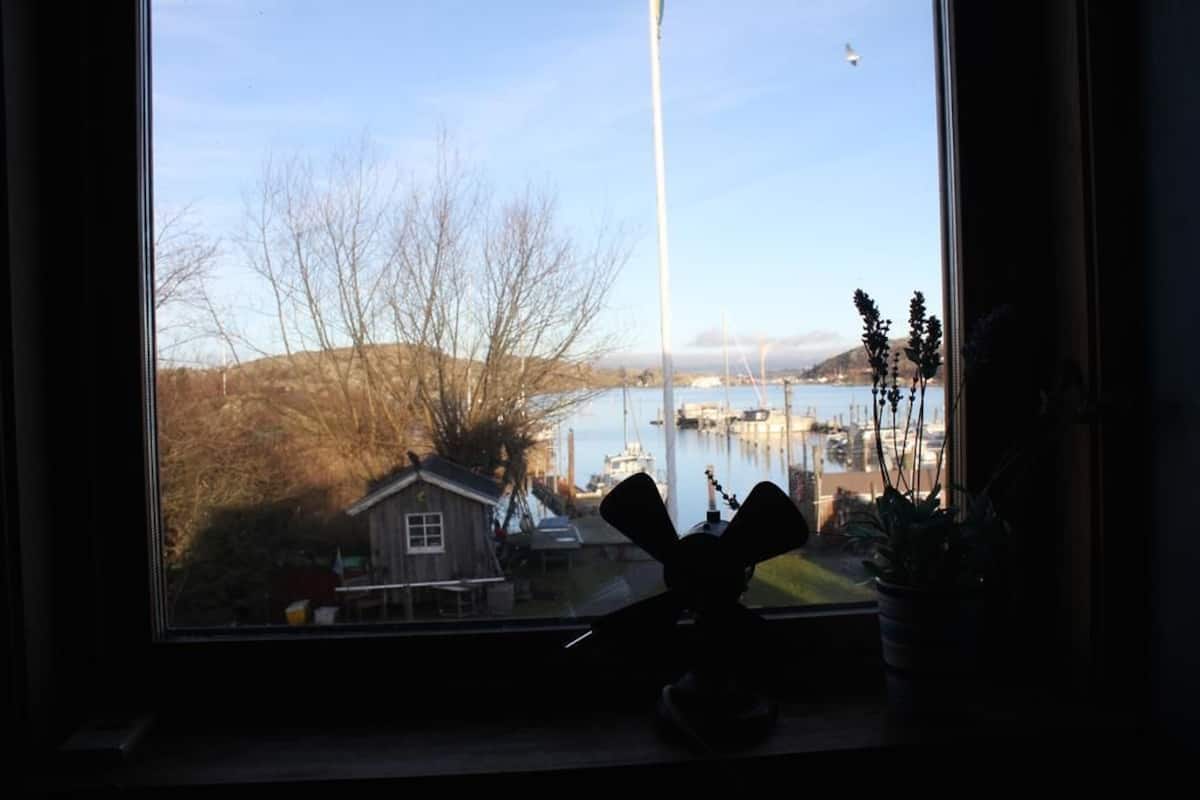 View from room