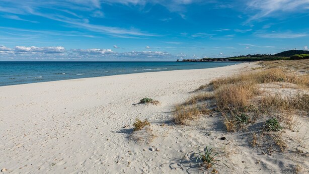 Strand