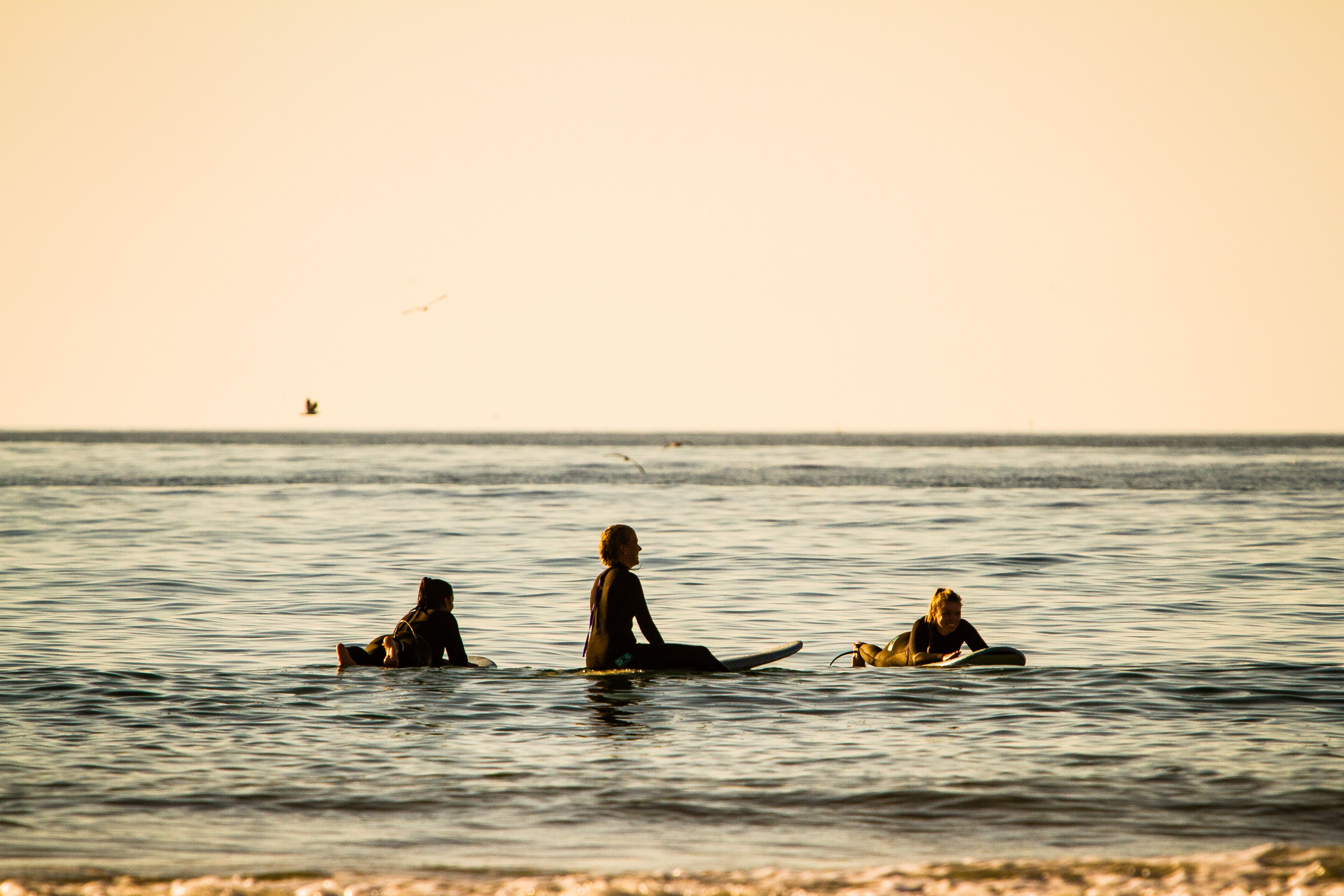 Foto - Selina Ericeira