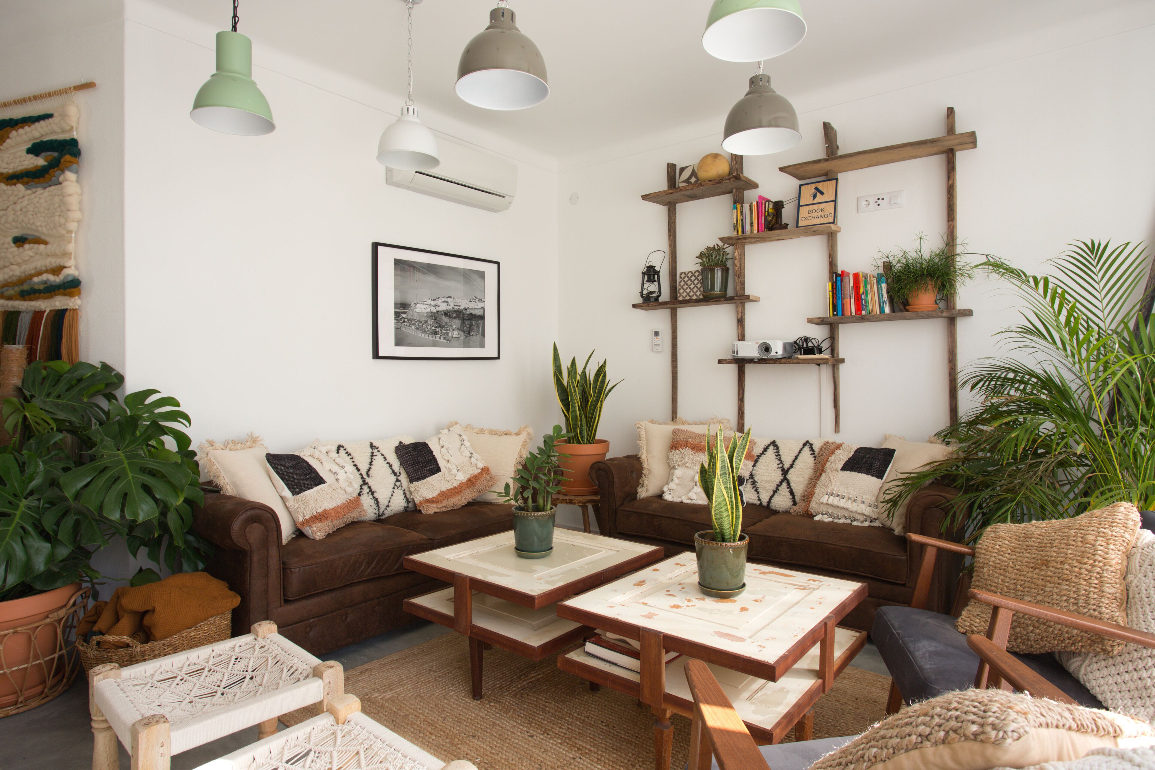 Foto - Selina Ericeira