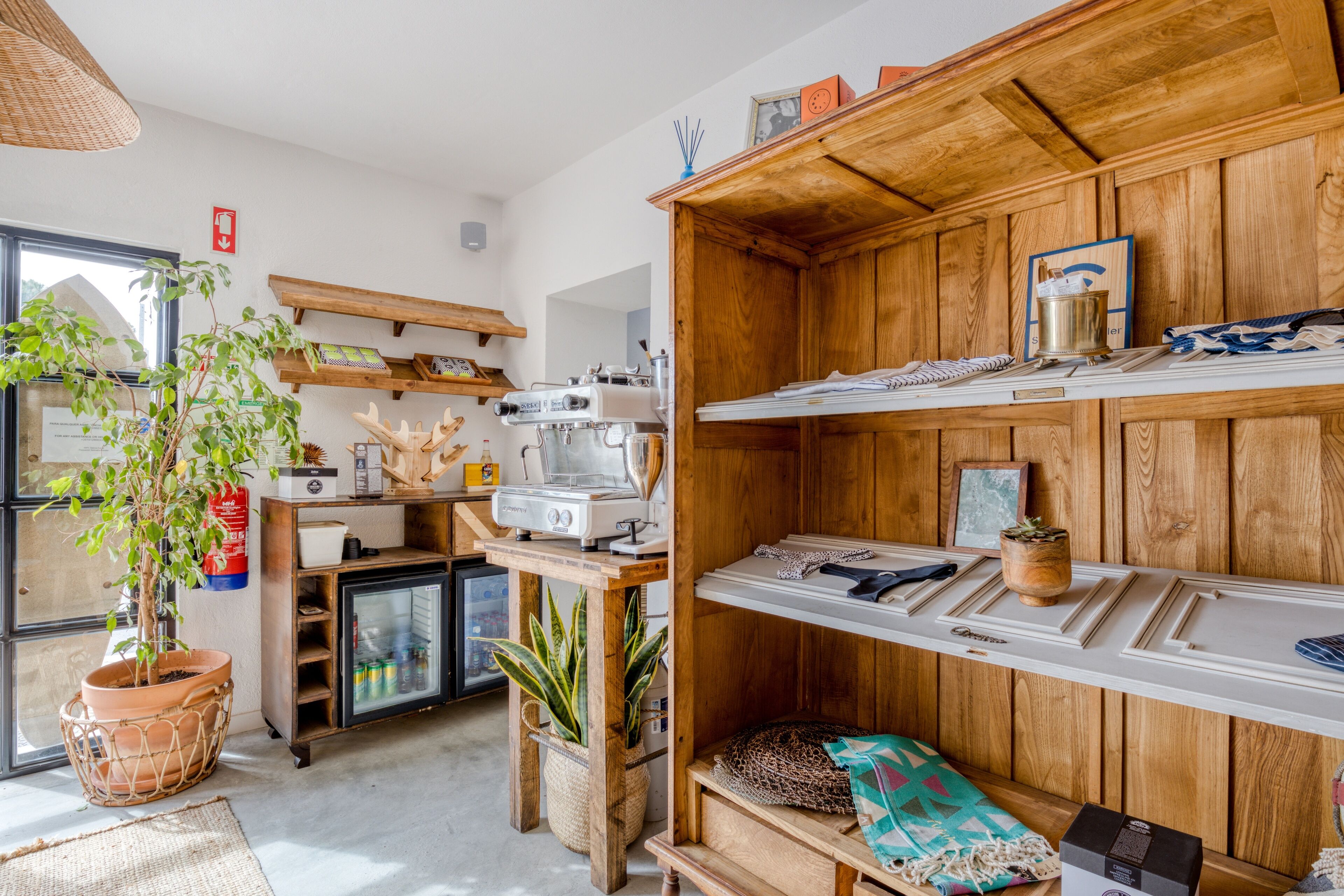 Foto - Selina Ericeira