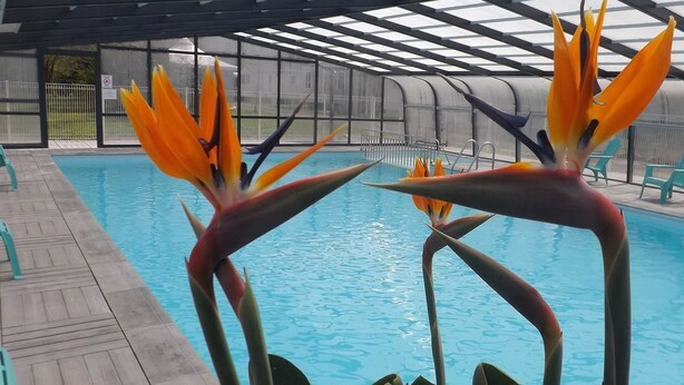 Pool - Camping Le Ranrouet (Herbignac)