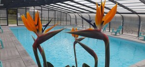 Piscina externa sazonal, espreguiçadeiras