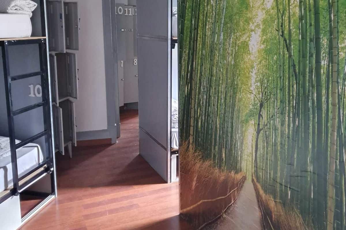 Dormitorio compartido, dormitorio mixto (1 bed in 14 Bed Dorm) | Cortinas opacas, wifi gratis, ropa de cama