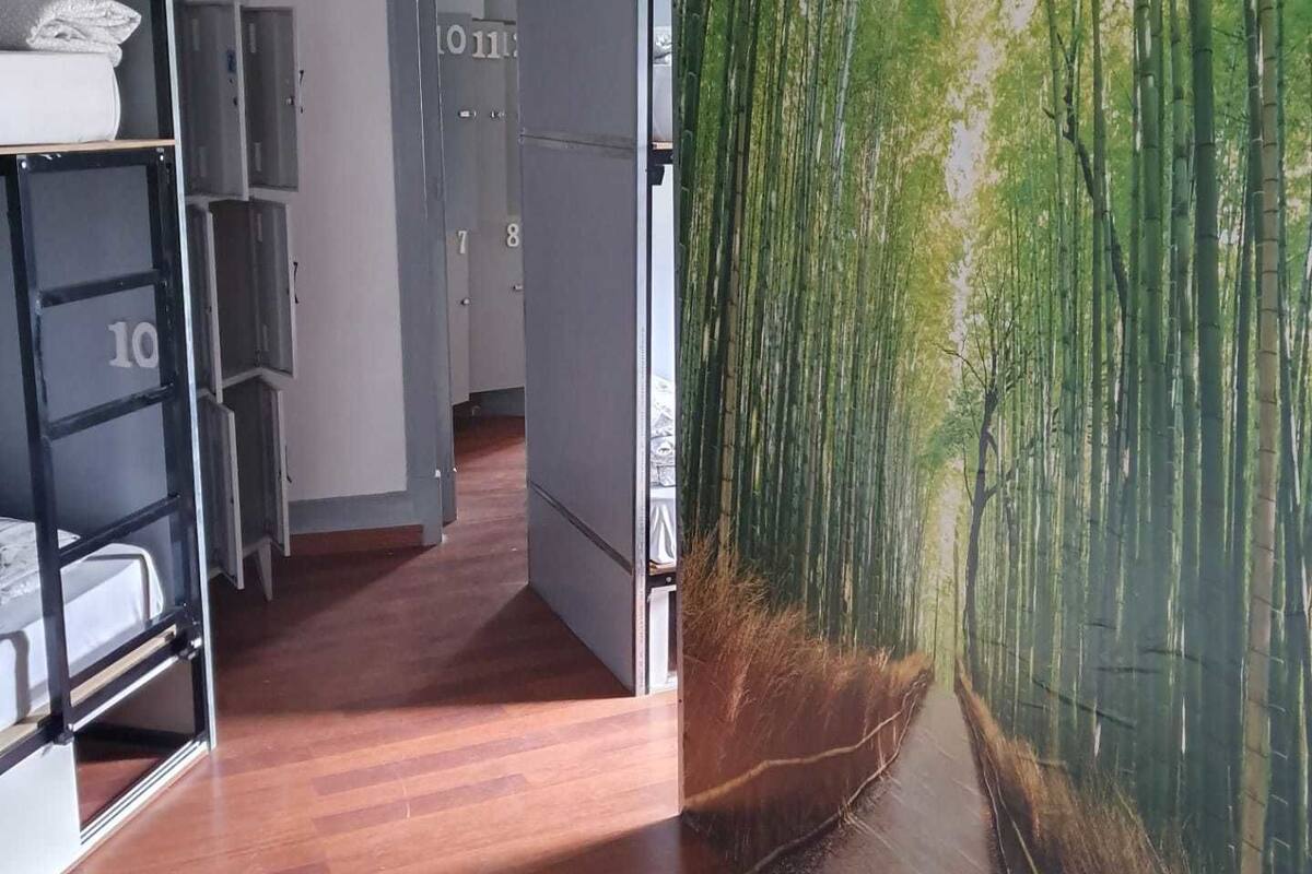 Dormitorio compartido, dormitorio mixto (1 bed in 14 Bed Dorm) | Cortinas blackout, wifi gratis y ropa de cama