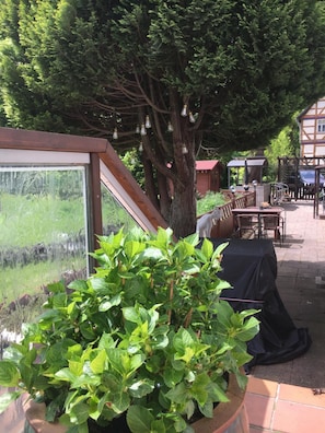 An outdoor seating area with a table and chairs, a potted plant, and a view through a window.