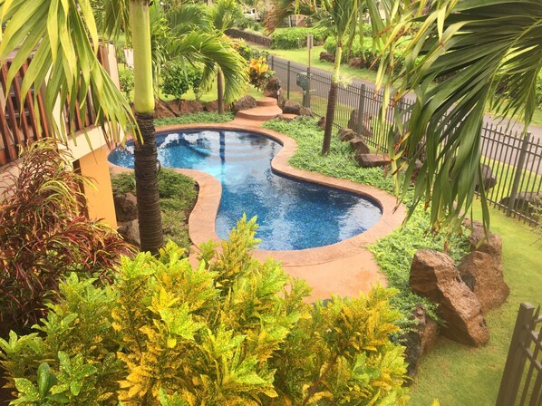 A landscaped garden with a curved pool, surrounded by tropical plants and a wooden fence.