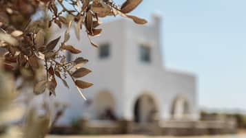 Bagian depan properti