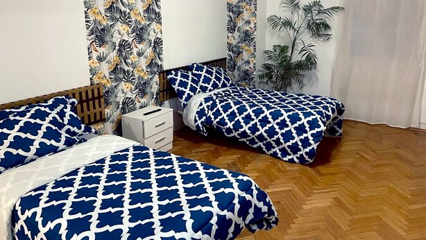 A bedroom with two beds, a wooden floor, and a large potted plant. - Sol Carlos V Apartaments & Suites (Madrid)