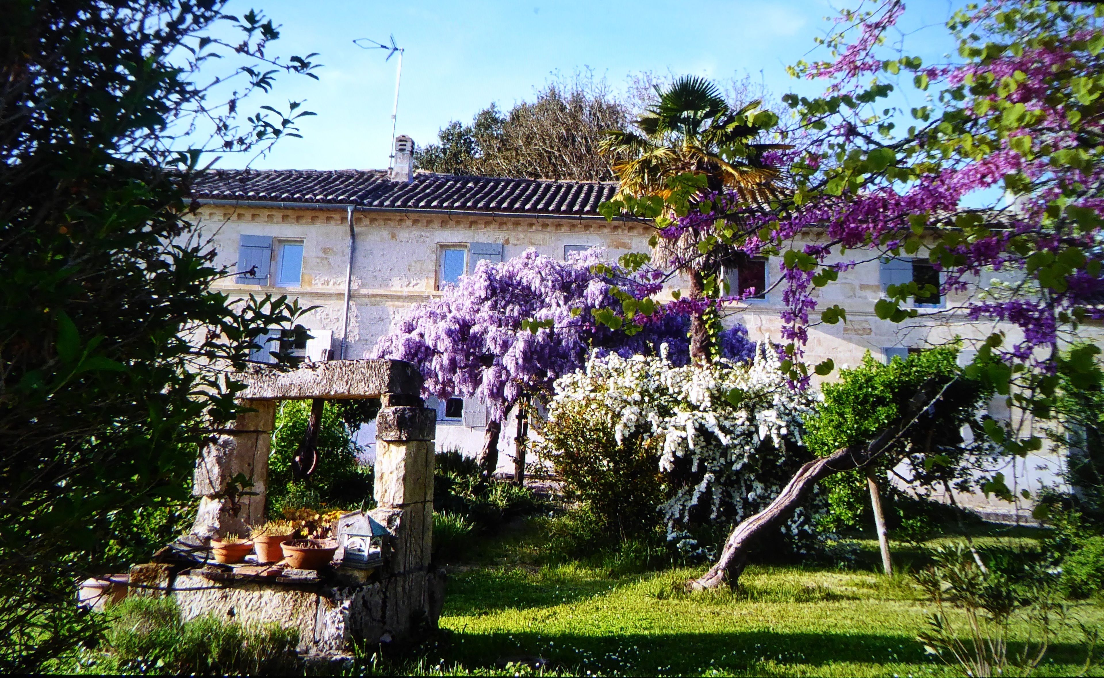 A building with a tiled roof, surrounded by lush greenery and flowering plants.