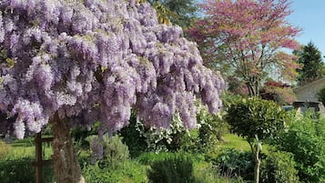 Vue sur le jardin