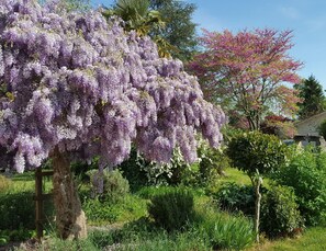 Uitzicht op de tuin