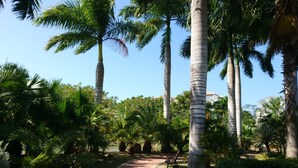 Unclassified image, 5 of 68, button - Exclusive Apartment Lake View (Cartagena)