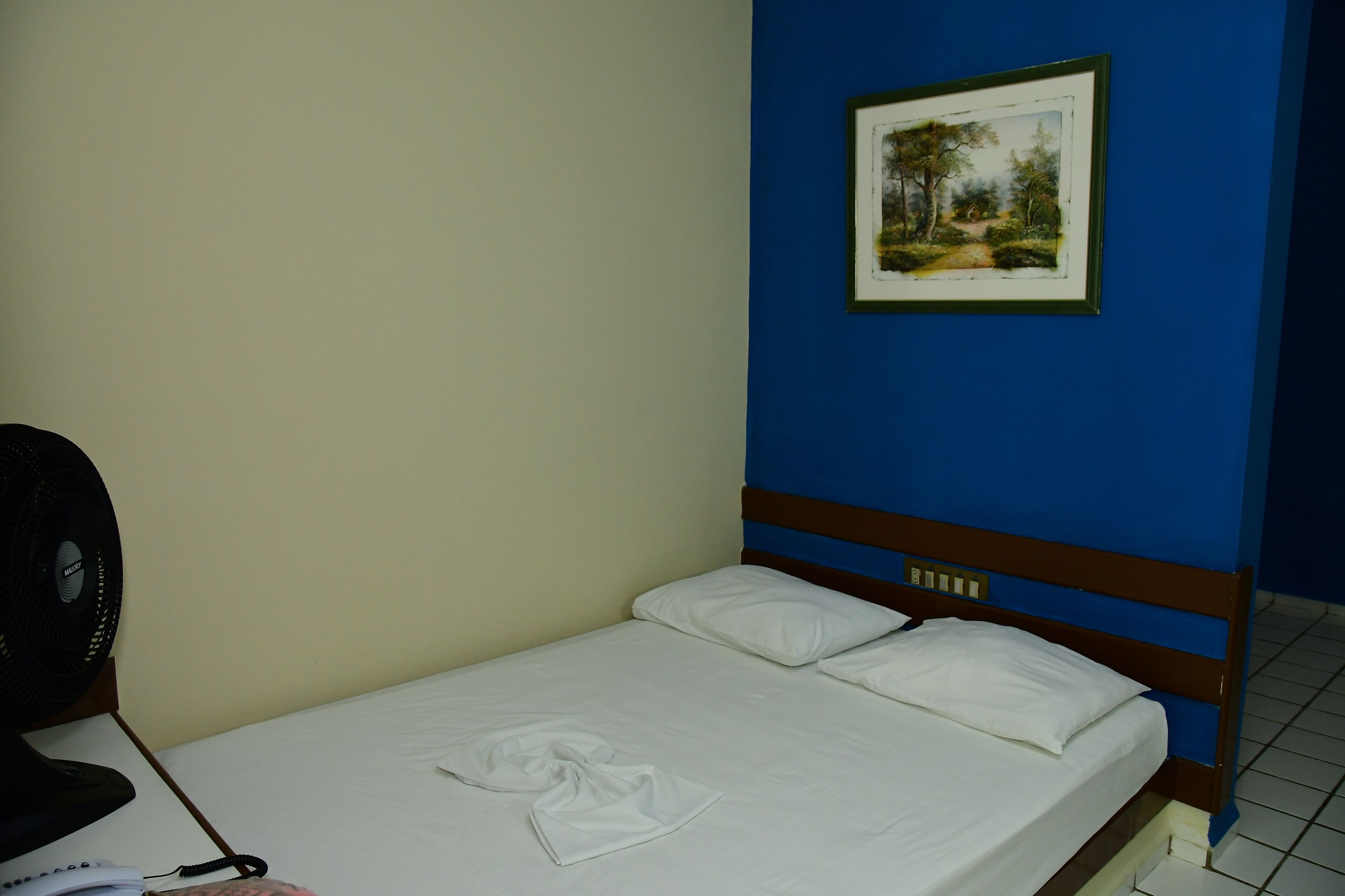 A single bed with white linens, a wooden headboard, and a framed landscape painting on the wall.