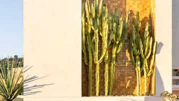 Kolam renang outdoor, dengan payung kolam renang dan kursi berjemur