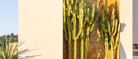 Outdoor pool, pool umbrellas, pool loungers