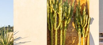 Silver Lake Pool & Inn