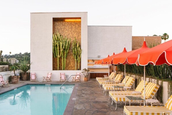 A pool area with lounge chairs and umbrellas, a wall with a cactus display, and a bar area.