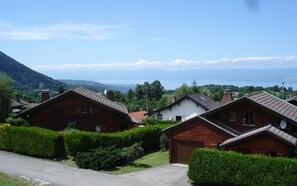 A residential area with wooden houses, a clear sky, and a distant view of a body of water.