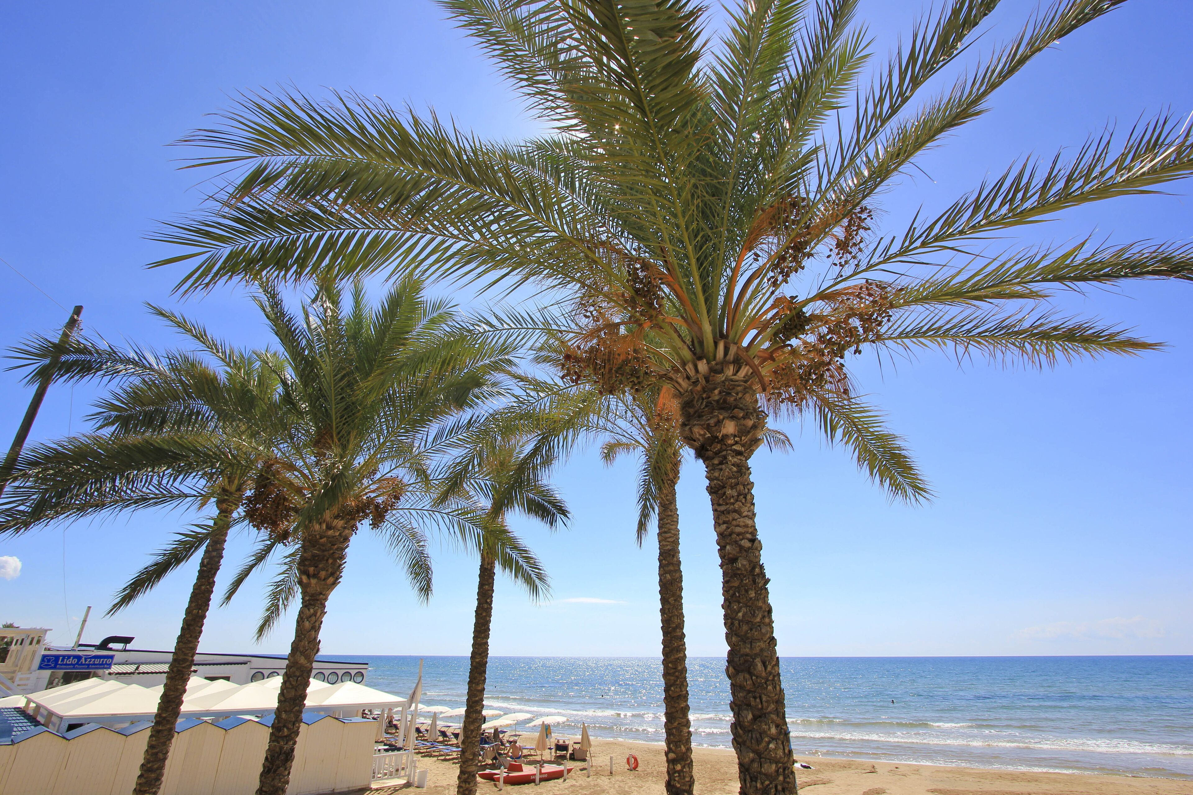 Beach nearby, sun-loungers