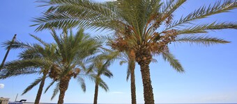 Levante, Holiday Home 100 metres from the sandy beach and near the centre