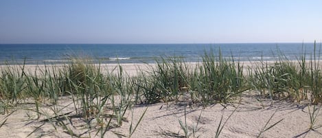 Playa en los alrededores