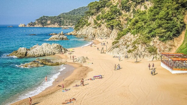 Una spiaggia con acque cristalline, affioramenti rocciosi e un pendio boscoso.