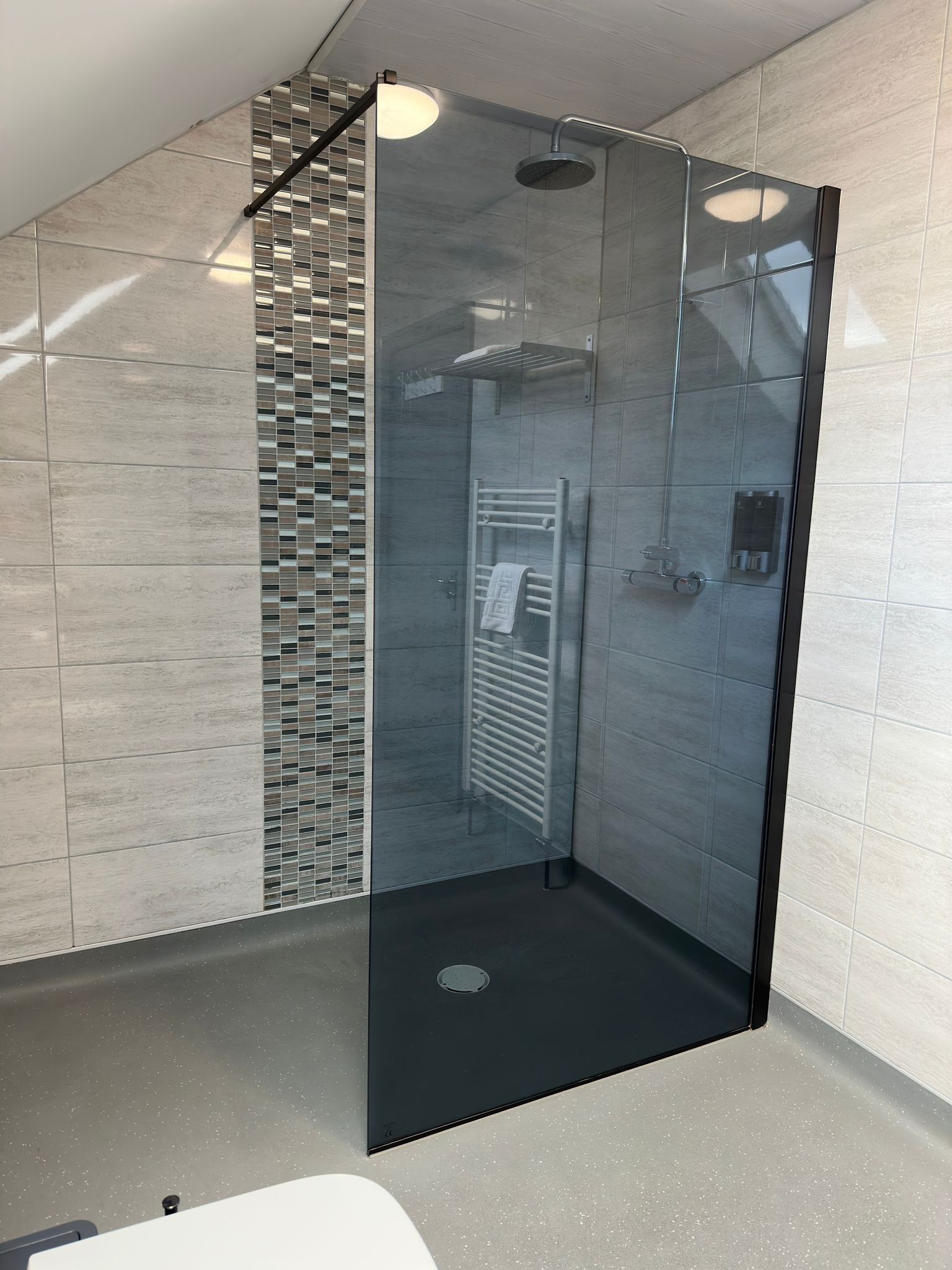 A modern shower enclosure with a glass door, a towel rack, and a built-in heater.