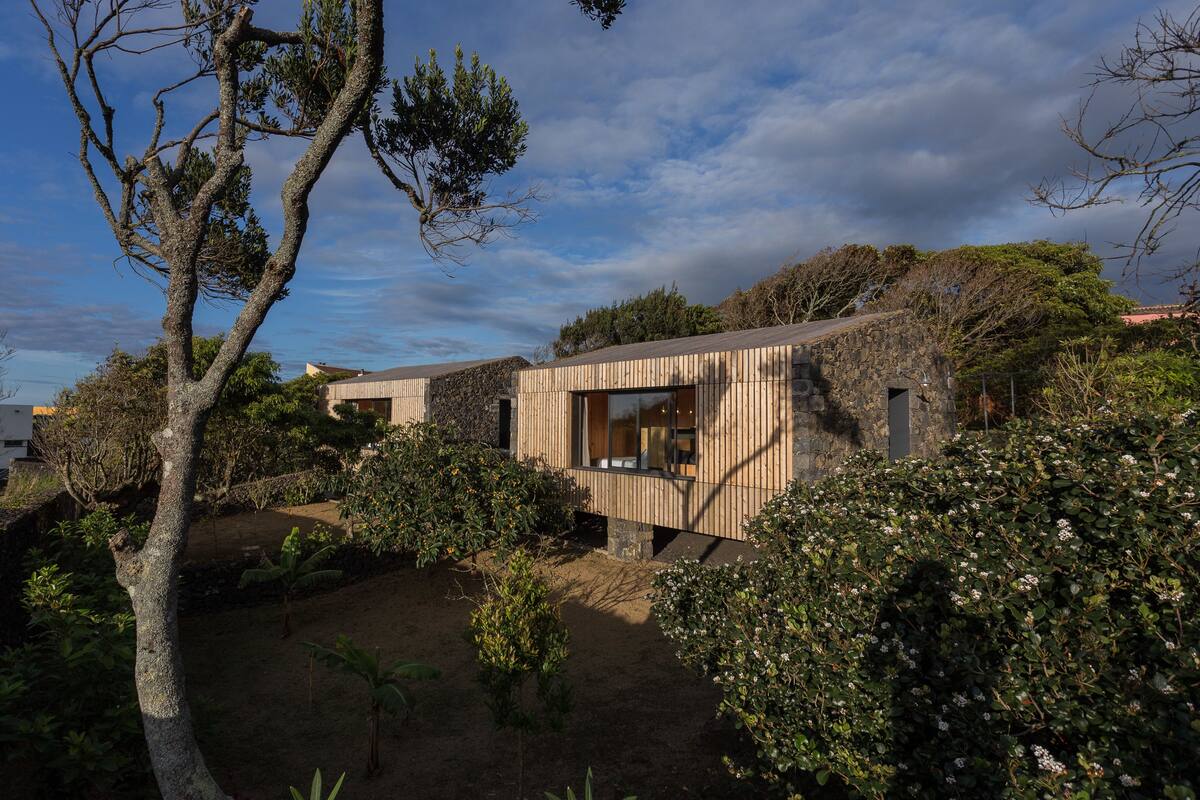 Une maison moderne à l’extérieur en bois, entourée d’une végétation luxuriante et sous un ciel dégagé.