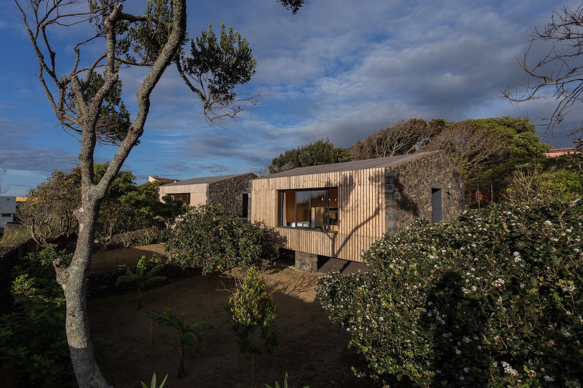 Estudio Deluxe, vista al jardín | Vista al jardín
