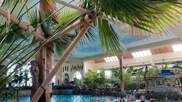 An indoor swimming pool with multiple lanes, surrounded by palm trees and a rock formation. - Musikhaus Medebach. This historic house is in the village in Hochsauerland. (Medebach)