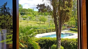 Vista a través de una ventana de un jardín cuidado, con piscina, varios árboles y setos bien recortados.