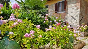 Edificio de piedra con fachada amarilla y contraventanas de madera, rodeado de un jardín con flores de hortensia rosadas y follaje verde.