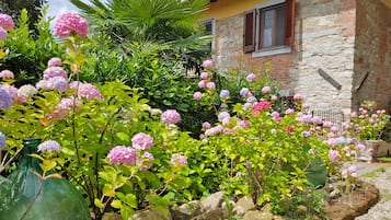 Parco della struttura