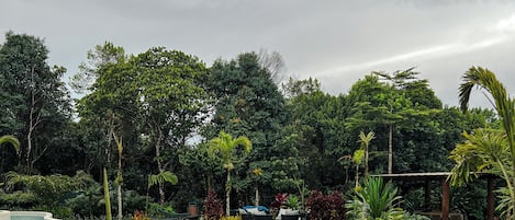 Hồ bơi ngoài trời