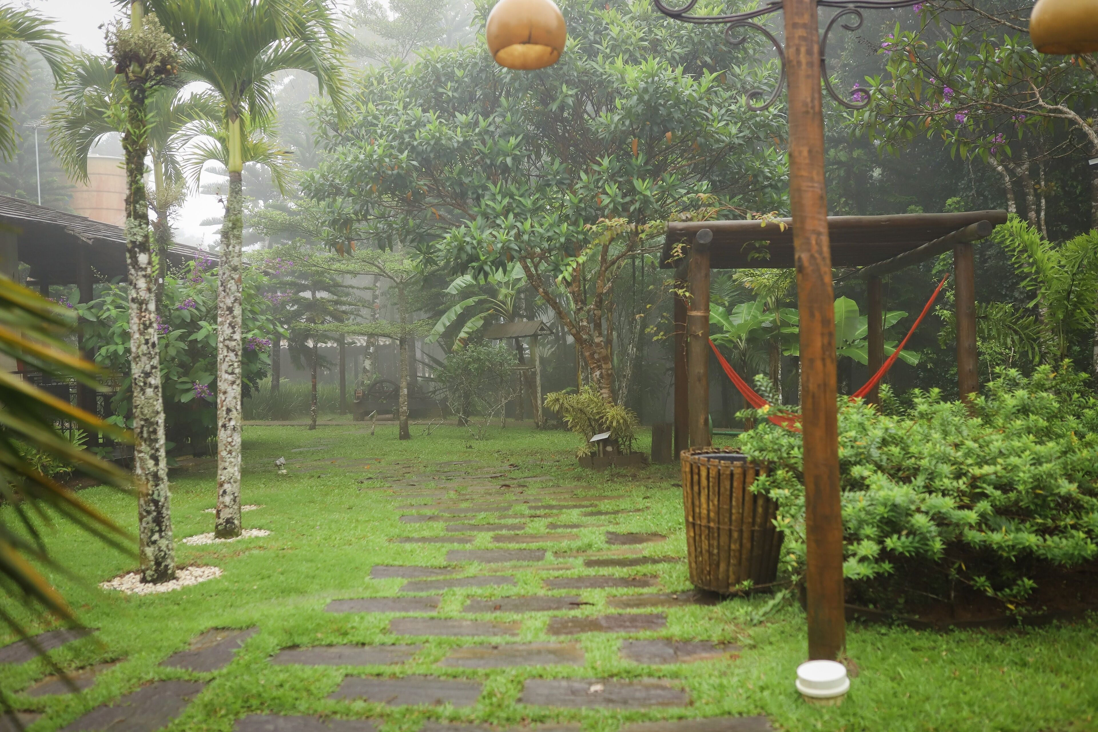 A garden pathway with stone tiles, surrounded by lush greenery and a wooden pergola structure.