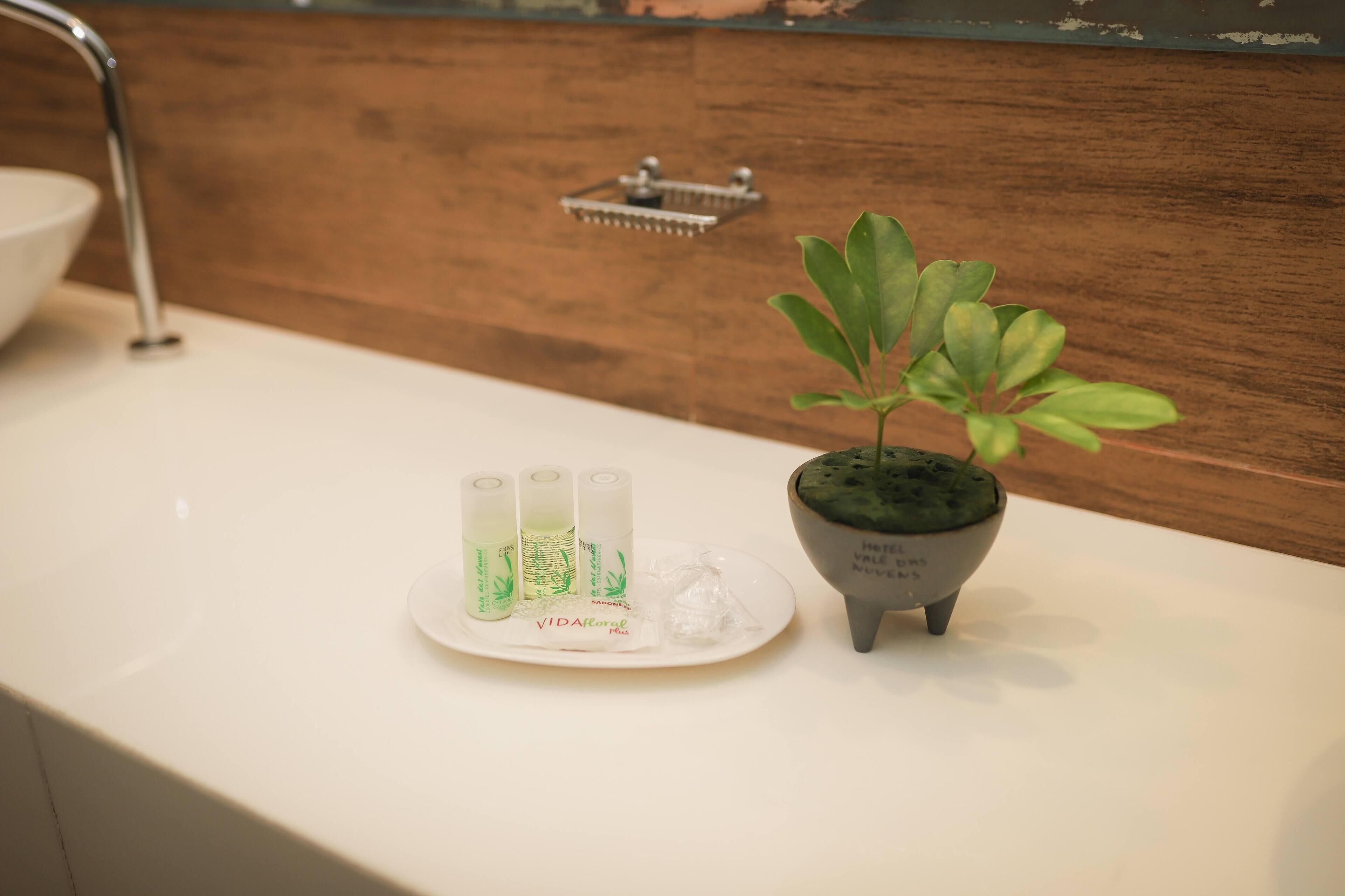 A bathroom sink with a potted plant and three bottles of lotion.