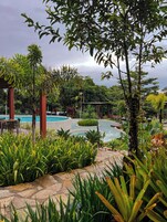 A landscaped garden with a pool, stone pathway, and various tropical plants.