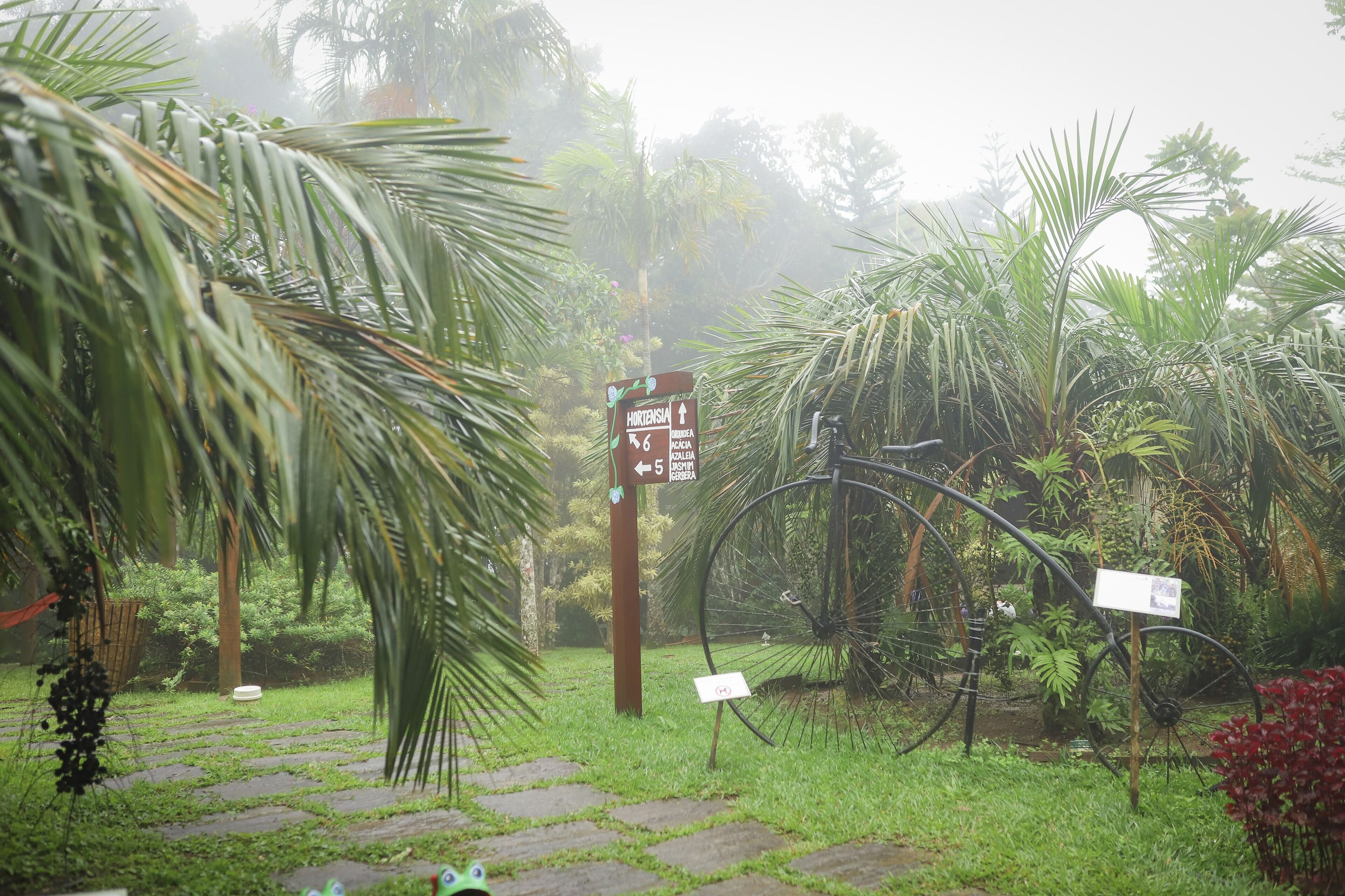 Un sendero en un jardín con indicaciones, una bicicleta y abundante vegetación.